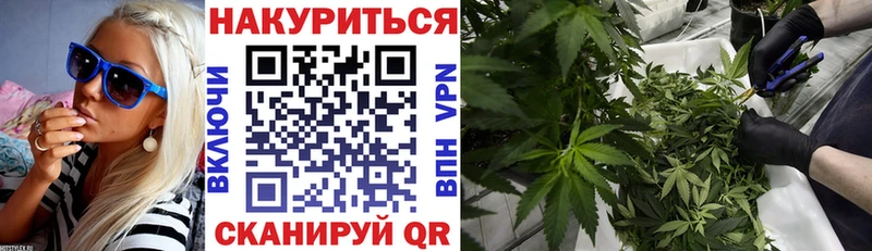 Купить закладку Каннабис  Alpha PVP  Галлюциногенные грибы  Меф мяу мяу  АМФ  Елизово