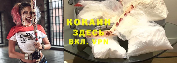 первитин Ельня