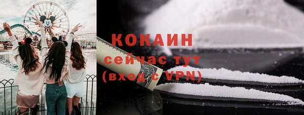 прущие грибы Елизово
