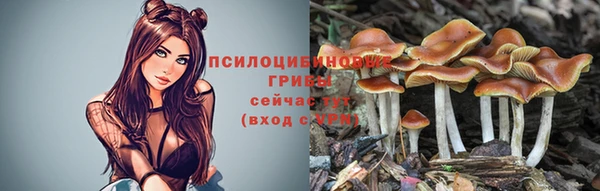 синтетический гашиш Елабуга