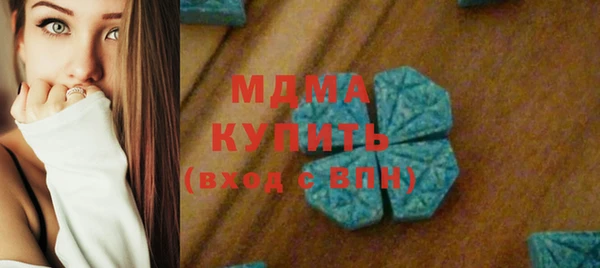 прущие грибы Елизово