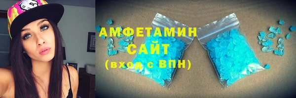 прущие грибы Елизово