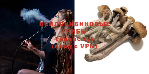 первитин Ельня