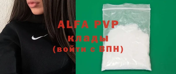 прущие грибы Елизово