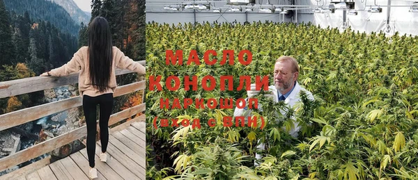прущие грибы Елизово