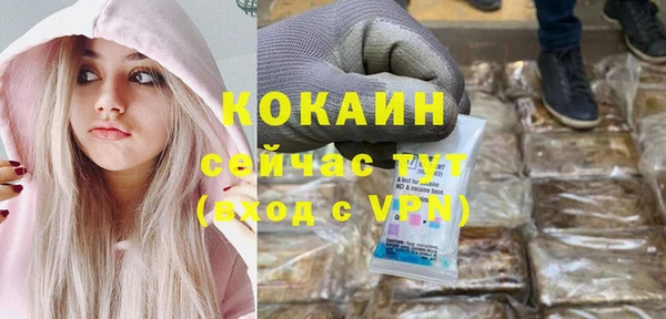 прущие грибы Елизово