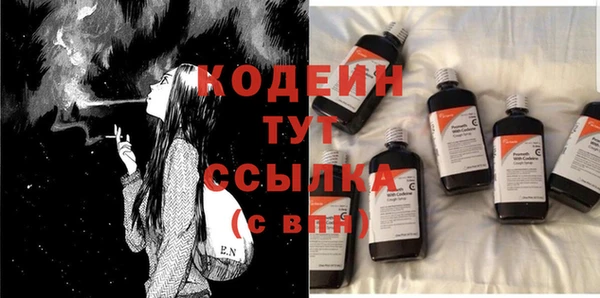 прущие грибы Елизово