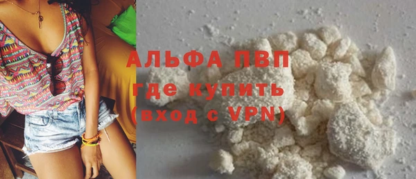 прущие грибы Елизово