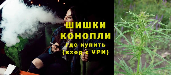 прущие грибы Елизово