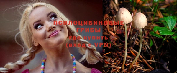 прущие грибы Елизово