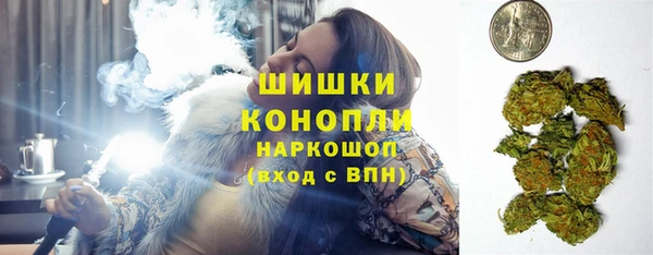 прущие грибы Елизово