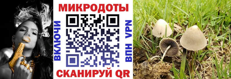 Купить Елизово Галлюциногенные грибы мицелий